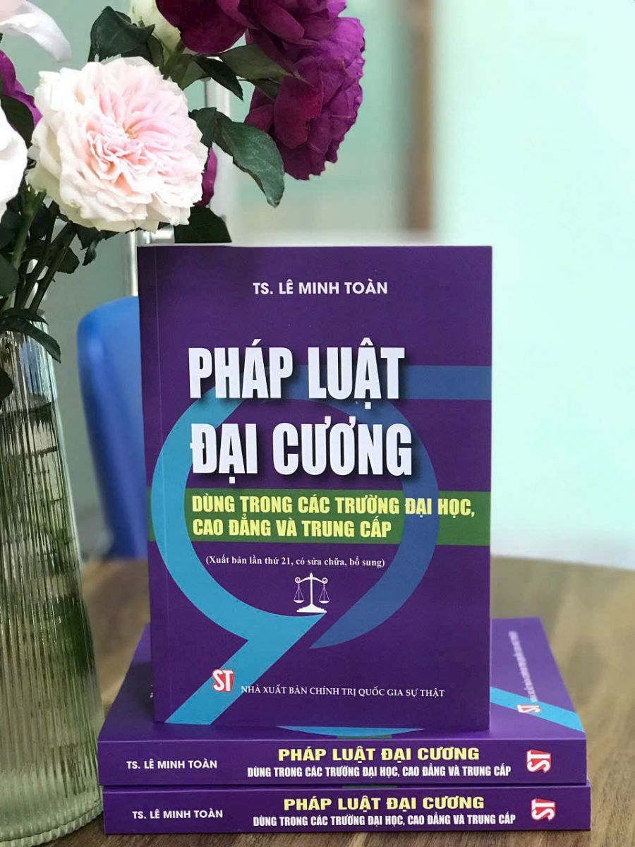 Cuốn sách Pháp luật đại cương (Dùng trong các trường đại học, cao đẳng và trung cấp) của TS. Lê Minh Toàn.