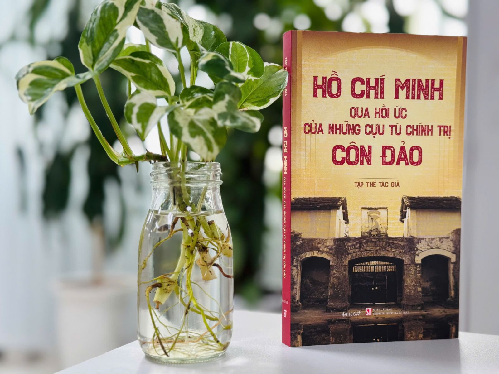 Cuốn sách Hồ Chí Minh qua hồi ức của những cựu tù chính trị Côn Đảo do tập thể tác giả tuyển chọn, sưu tầm.