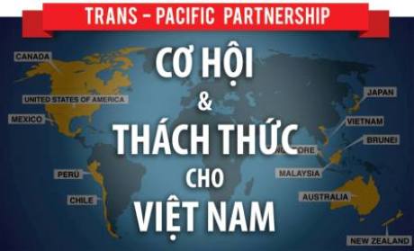 co hoi182