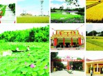 Đẩy mạnh thực hiện chính sách xây dựng nông thôn mới