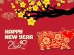 Hình ảnh con lợn trong văn hóa Việt Nam