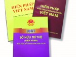Hoạt động lập pháp về sở hữu trí tuệ thông qua các bản hiến pháp của Việt Nam