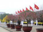 Trọn niềm tin yêu và tự hào về Đảng