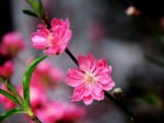 Năm mới, vận hội mới!