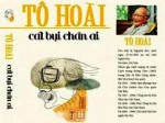 Sắp xuất bản lại toàn bộ tác phẩm của nhà văn Tô Hoài